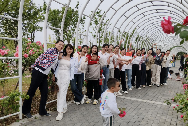 踏青賞花·放松身心